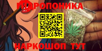 мяу мяу мука Нарткала