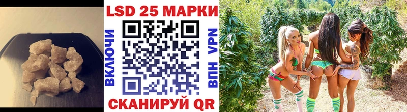 где можно купить   Бор  Лсд 25 экстази кислота 