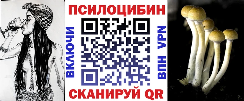 Галлюциногенные грибы Psilocybe ссылка на мегу ТОР Бор